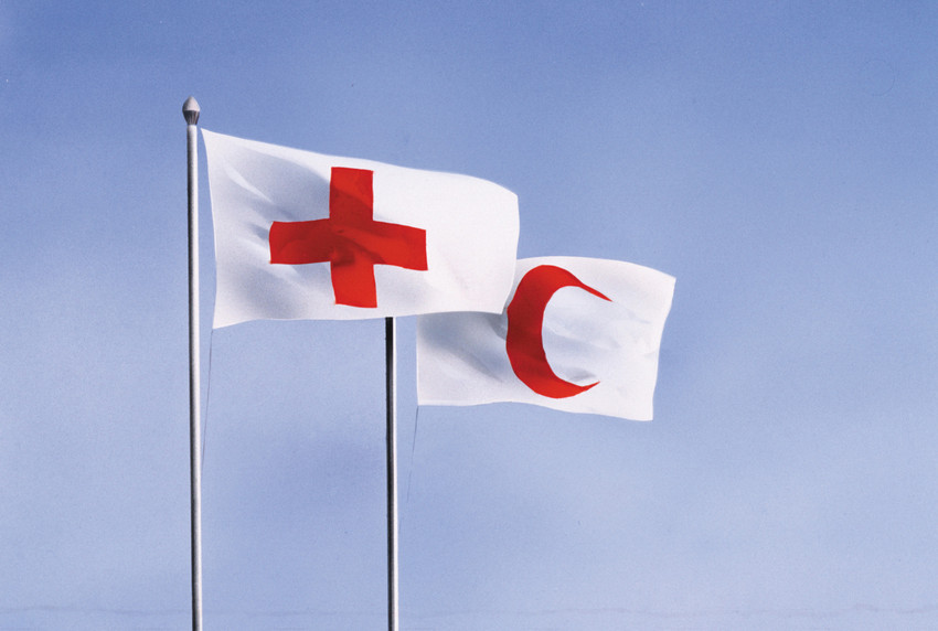 Das Rote Kreuz als internationale humanitäre Einsatzorganisation
