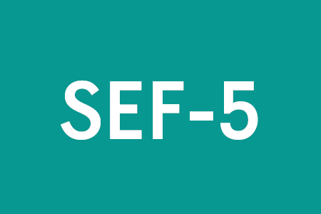 SEF-5 (Rettungsdienst mit Sondersignal)