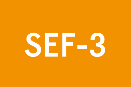 SEF-3 (Rettungsdienst ohne Sondersignal)