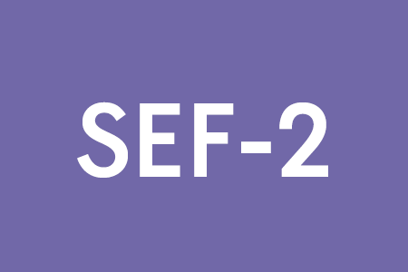 SEF-2 (ohne Patient:innen/Klient:innen, mit Sondersignal)