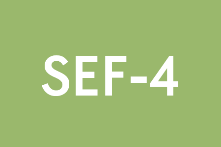 SEF-4 (mit GSD-Klient:innen, ohne Sondersignal)